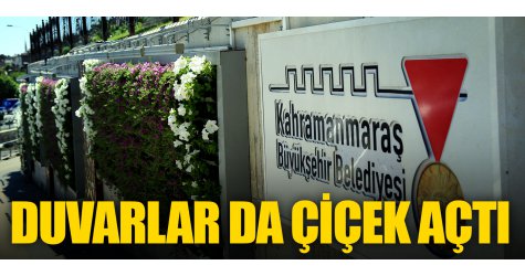 Duvarlar da çiçek açtı