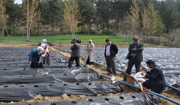 ÇİLEK YETİŞTİRİCİLİĞİ KURSU TAMAMLANDI