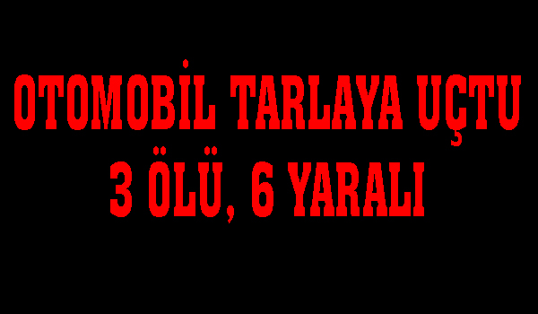 OTOMOBİL TARLAYA UÇTU 3 ÖLÜ, 6 YARALI