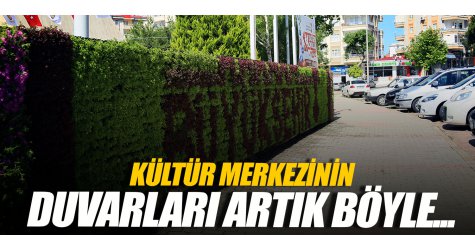 Büyükşehir bahçeleri duvara yansıtıyor