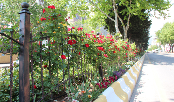 REFÜJLER GÜL BAHÇESİNE DÖNDÜ