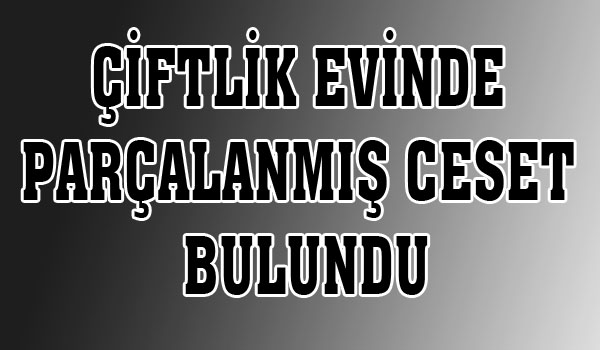 ÇİFTLİK EVİNDE PARÇALANMIŞ CESET BULUNDU