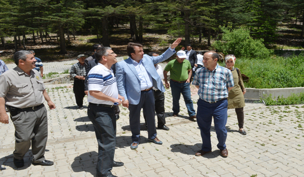 BAŞKAN ERKOÇ YAVŞAN YAYLASINI İNCELEDİ