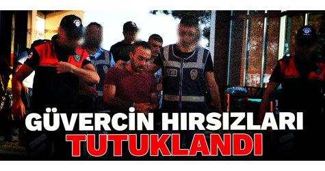 Güvercin hırsızları tutuklandı