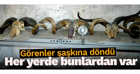 Paça ustasının koleksiyonu görenleri şaşırtıyor