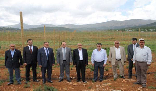 HER YIL ORTALAMA 100 BİN ELMA FİDANI TOPRAKLA BULUŞUYOR