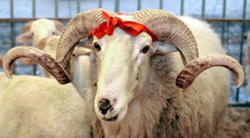 Bakandan Kurban Bayramı tatili için açıklama!