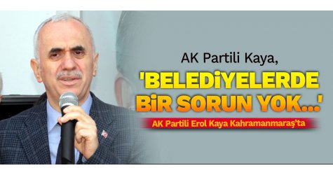 AK Partili Kaya, 'Belediyelerde bir sorun yok...'