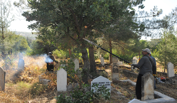 MEZARLIKLARDA TEMİZLİK ÇALIŞMALARI DEVAM EDİYOR