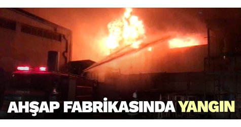 Ahşap fabrikasında yangın