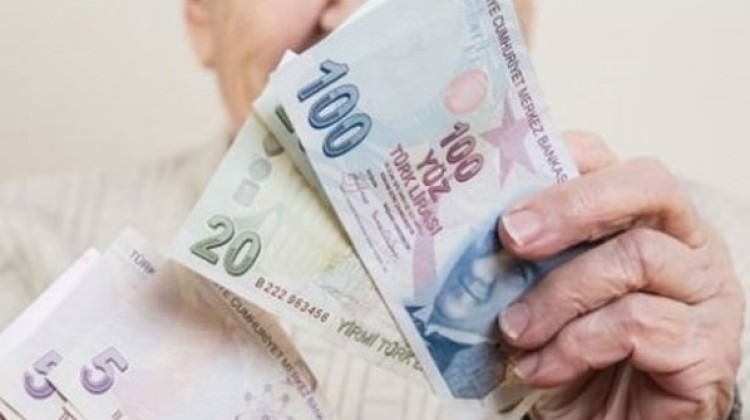 Bunu yapana Devletten bin 27 TL