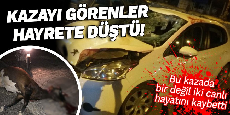 Kazayı görenler hayrete düştü!