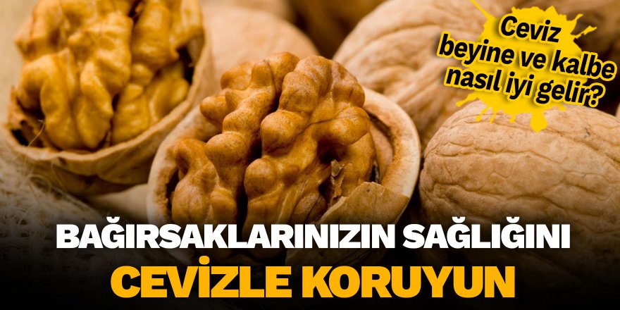 Bağırsaklarınızın sağlığını cevizle koruyun