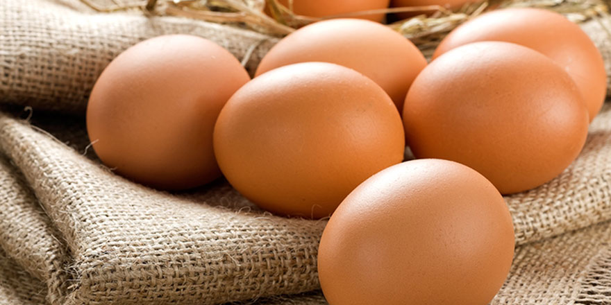 Çocukluk yapıyorsun AB! Bunun hakkında bile yalan söylediler...