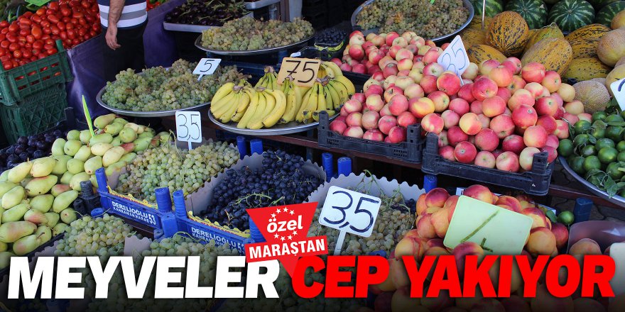 Meyveler cep yakıyor