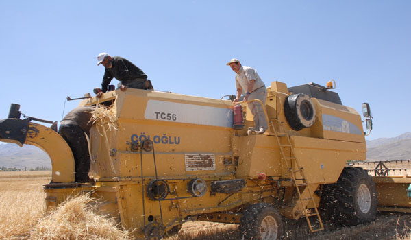 ELBİSTAN'DA HUBUBAT HASADI BAŞLADI
