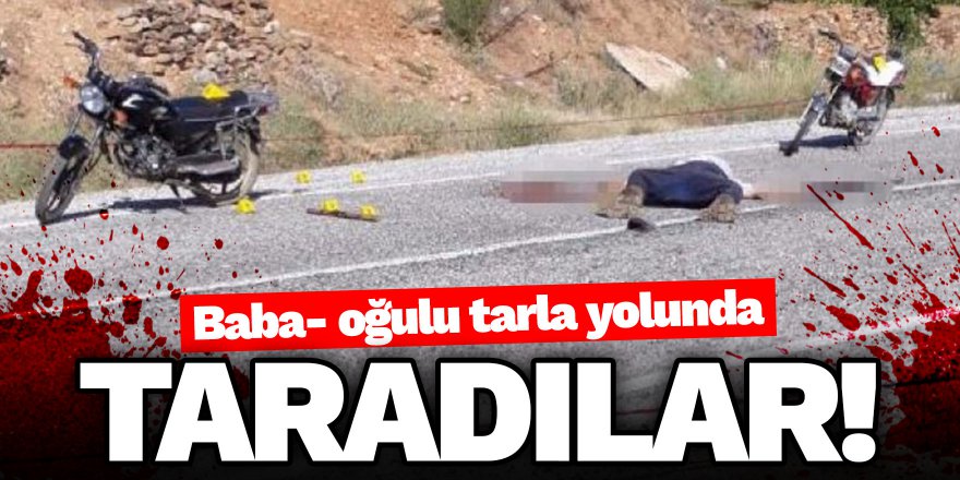 Baba- oğulu tarla yolunda taradılar!