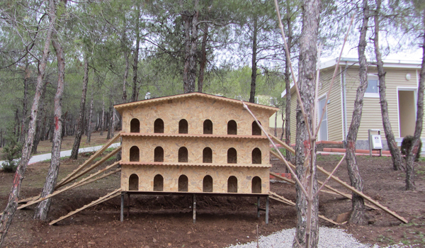 REHABİLİTASYON MERKEZİNDE NELER YAPILDI?