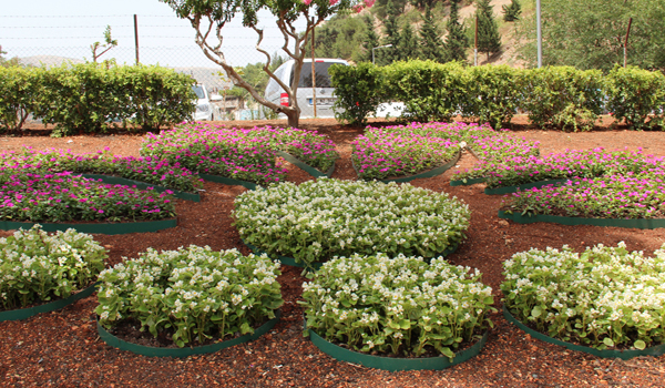 YEŞİL ALAN VE MEYDANLARDA ÇİÇEKLENDİRME ÇALIŞMASI