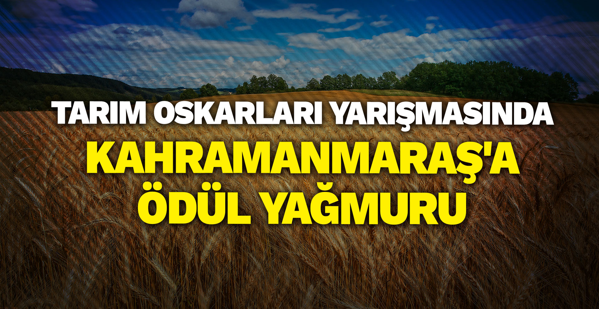 Tarım Oskarları yarışmasında Kahramanmaraş'a ödül yağmuru