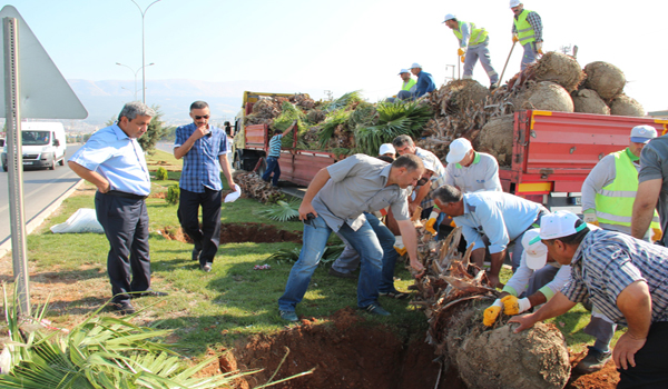 REFÜJLER PALMİYERLERLE BULUŞUYOR