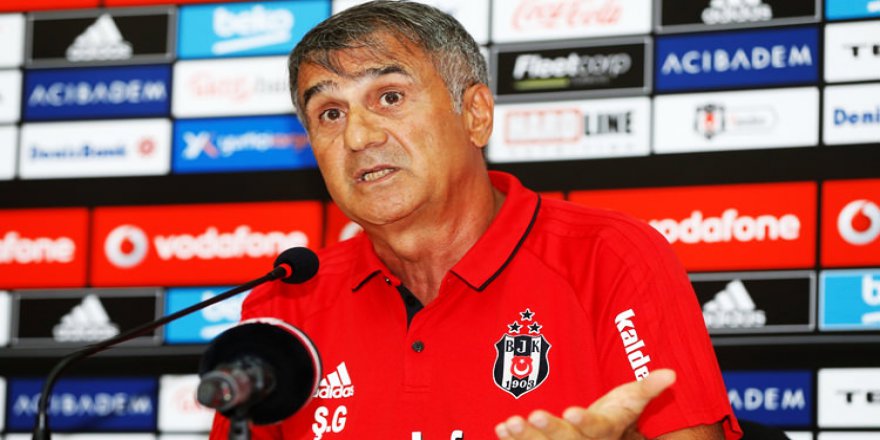 Şenol Güneş: Olanları dünya gördü