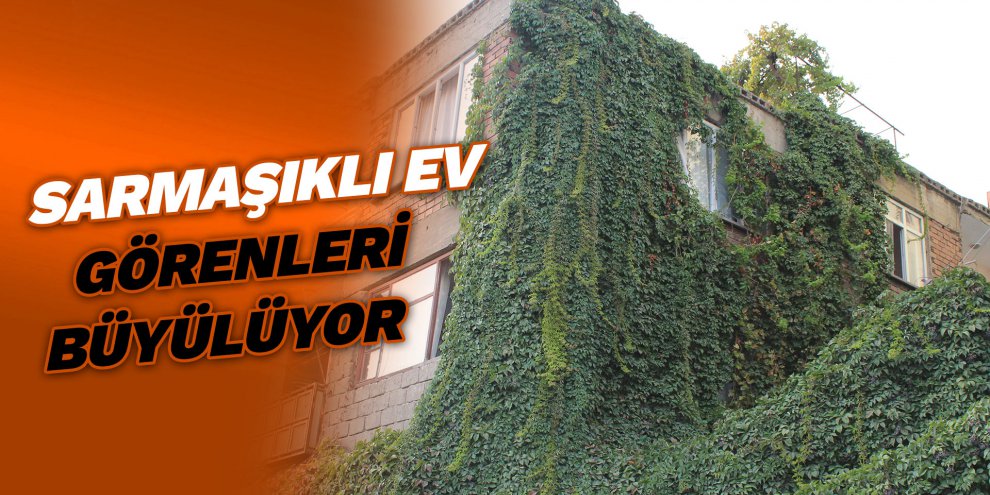 Sarmaşıklı ev görenleri büyülüyor