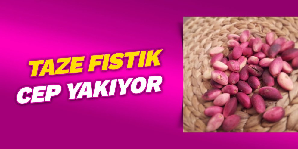 Taze fıstık cep yakıyor