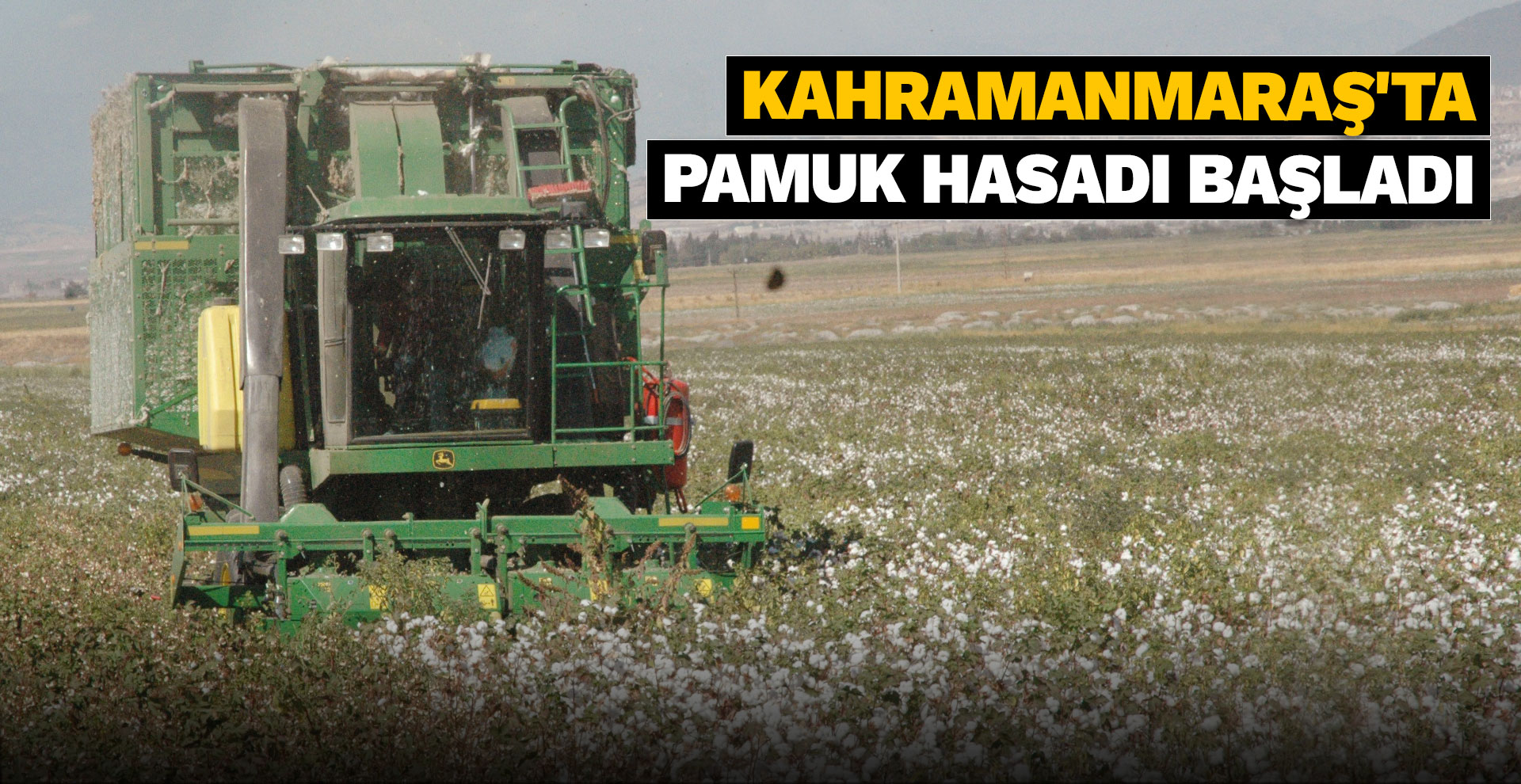 Kahramanmaraş'ta pamuk hasadı başladı