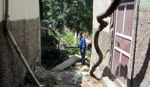 ZARARLI HAŞERELERLE MÜCADELE DEVAM EDİYOR