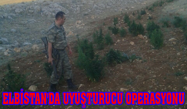 ELBİSTAN'DA UYUŞTURUCU OPERASYONU