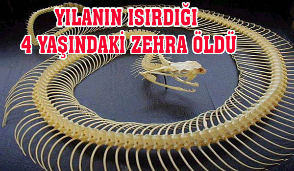 YILANIN ISIRDIĞI 4 YAŞINDAKİ ZEHRA ÖLDÜ