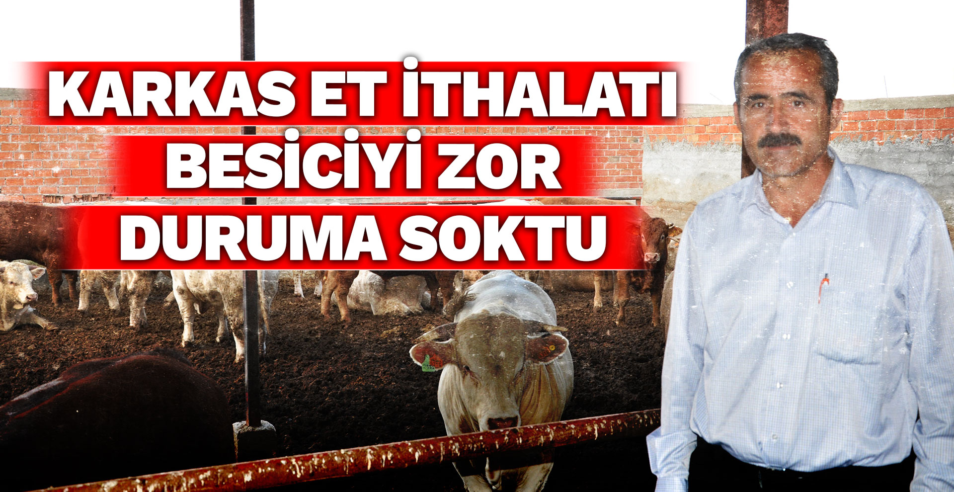 Ergüç: "Karkas et ithalatı besiciyi zor duruma soktu"