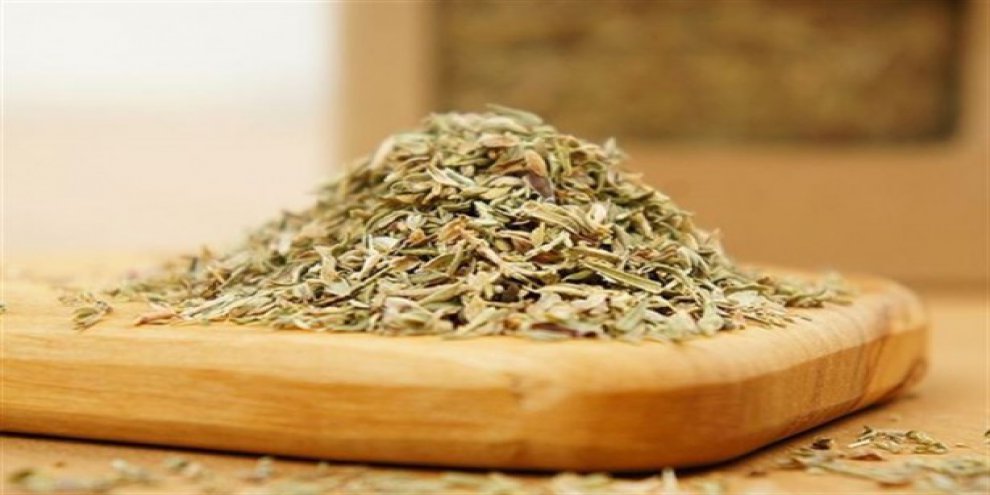 Kekik yağı romatizma ağrılarını hafifletiyor!