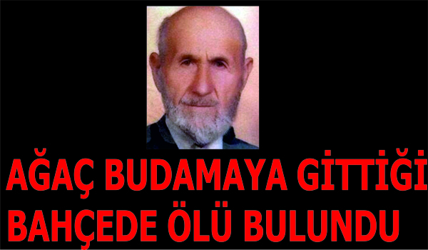 AĞAÇ BUDAMAYA GİTTİĞİ BAHÇEDE ÖLÜ BULUNDU