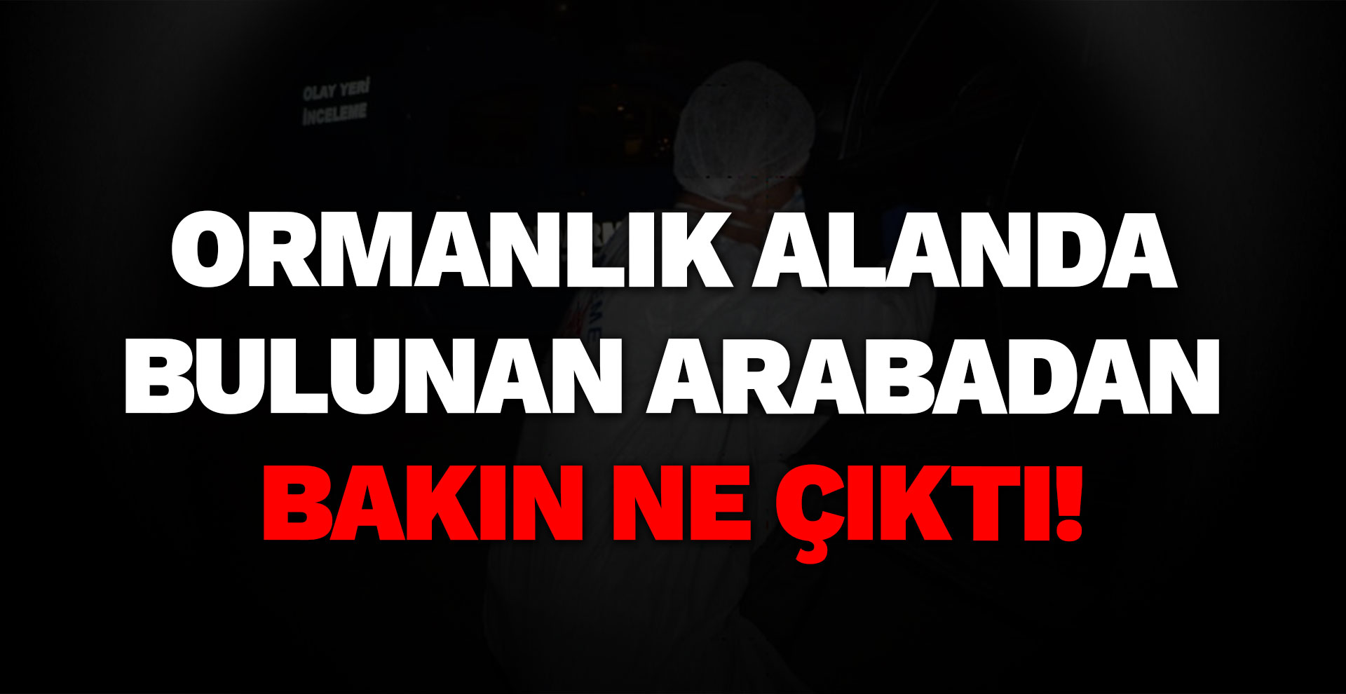 Ormanlık alanda bulunan arabadan bakın ne çıktı!