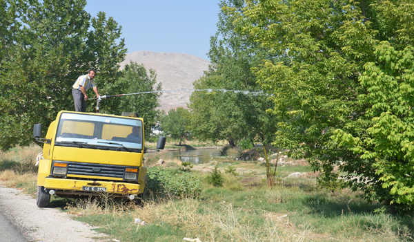 İNŞAAT ALANINDAKİ FİDANLAR TAŞINIYOR