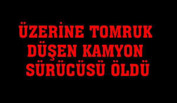 ÜZERİNE TOMRUK DÜŞEN KAMYON SÜRÜCÜSÜ ÖLDÜ