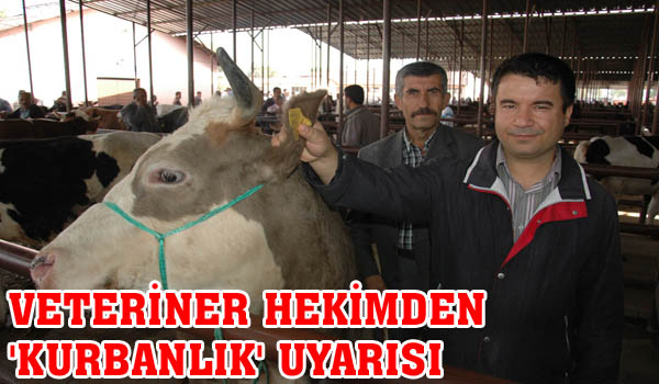 VETERİNER HEKİMDEN 'KURBANLIK' UYARISI