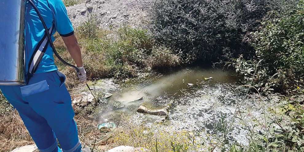 Larva mücadelesi devam ediyor