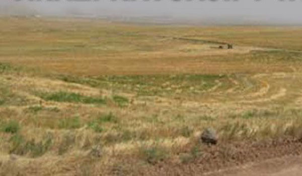 ARAZİ KAVGASINDA 4 KİŞİ YARALANDI