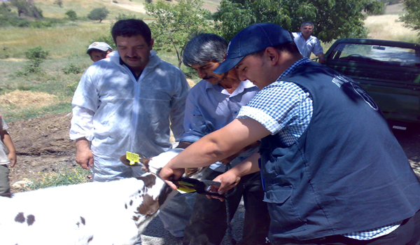 TARIM İL MÜDÜRLÜĞÜN'DEN KURBAN UYARISI