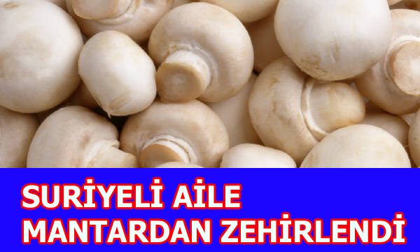 SURİYELİ AİLE MANTARDAN ZEHİRLENDİ