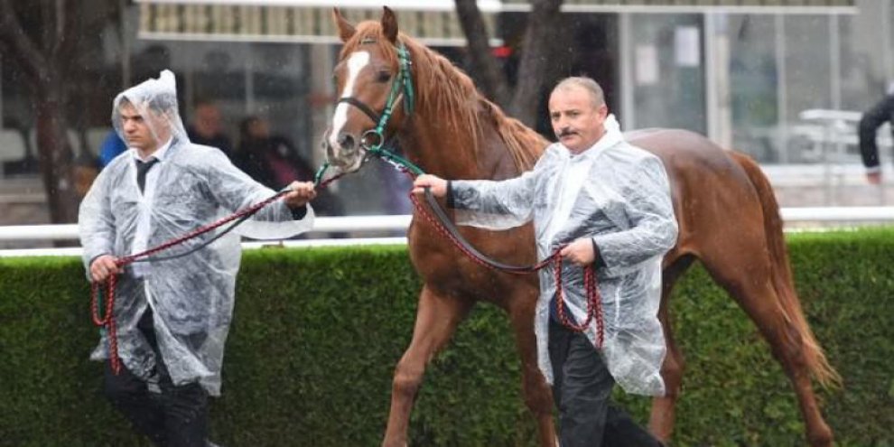 Açık artırma düzenlendi, ev fiyatına satıldı