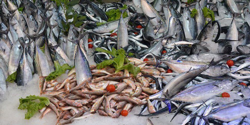 Umman, balık tutacak girişimci arıyor