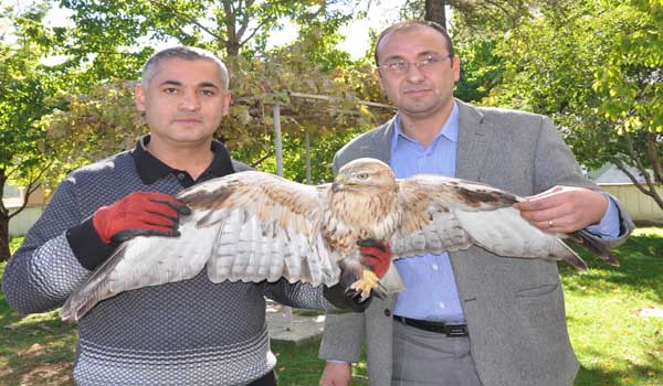 YARALI ŞAHİNE ŞEFKAT ELİ