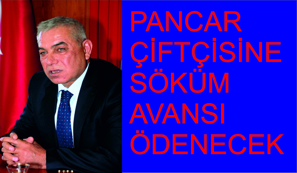 PANCAR ÇİFTÇİSİNE SÖKÜM AVANSI ÖDENECEK