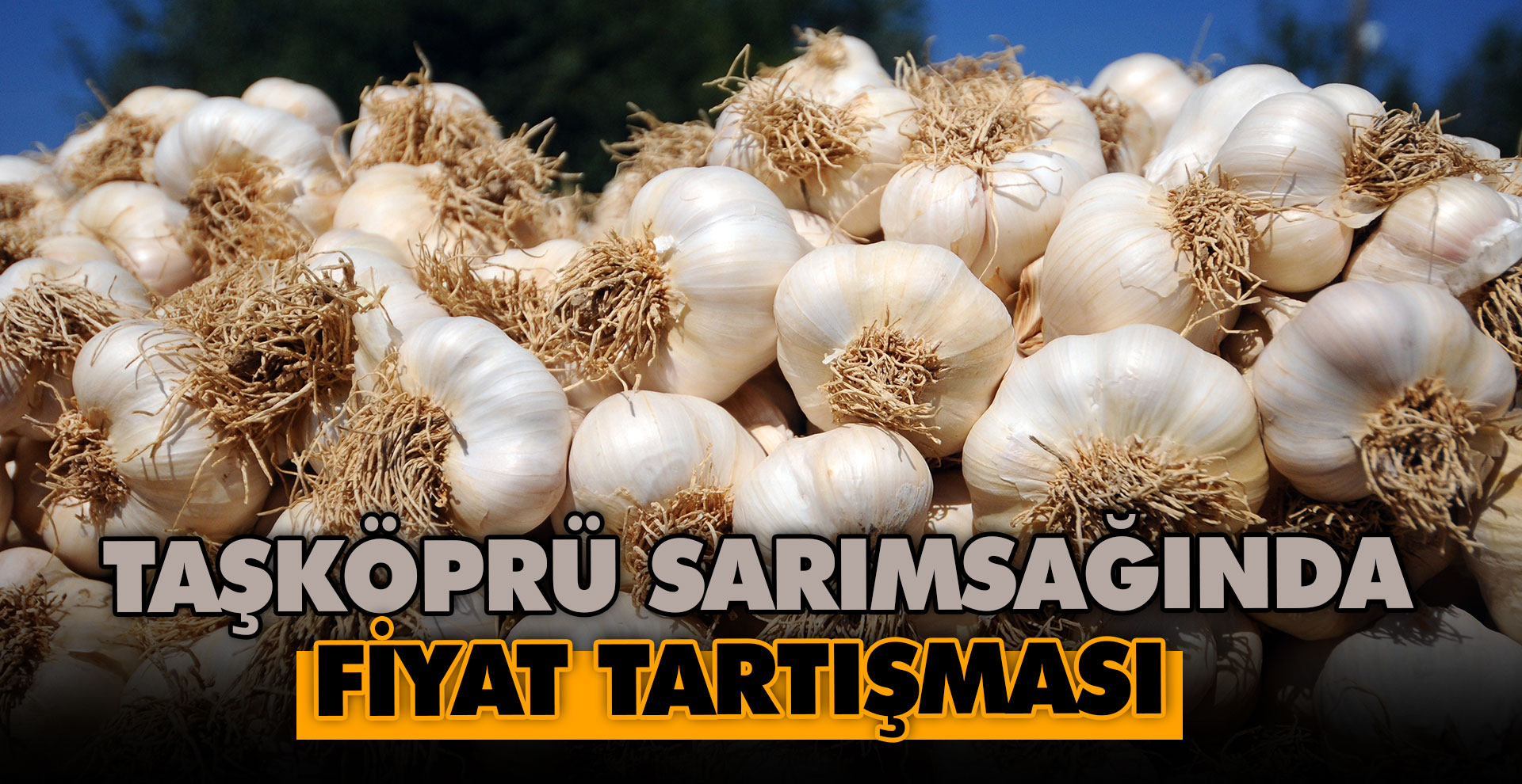 Taşköprü sarımsağında fiyat tartışması