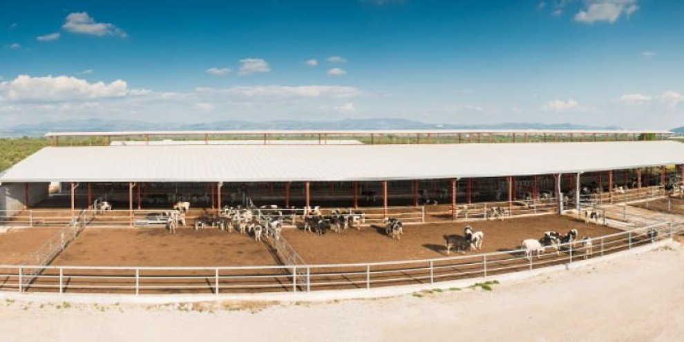 Devlet desteği yatırıma ve üretime dönüştü