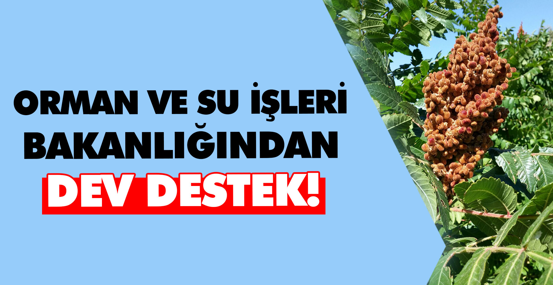 Orman ve Su İşleri Bakanlığından dev destek!